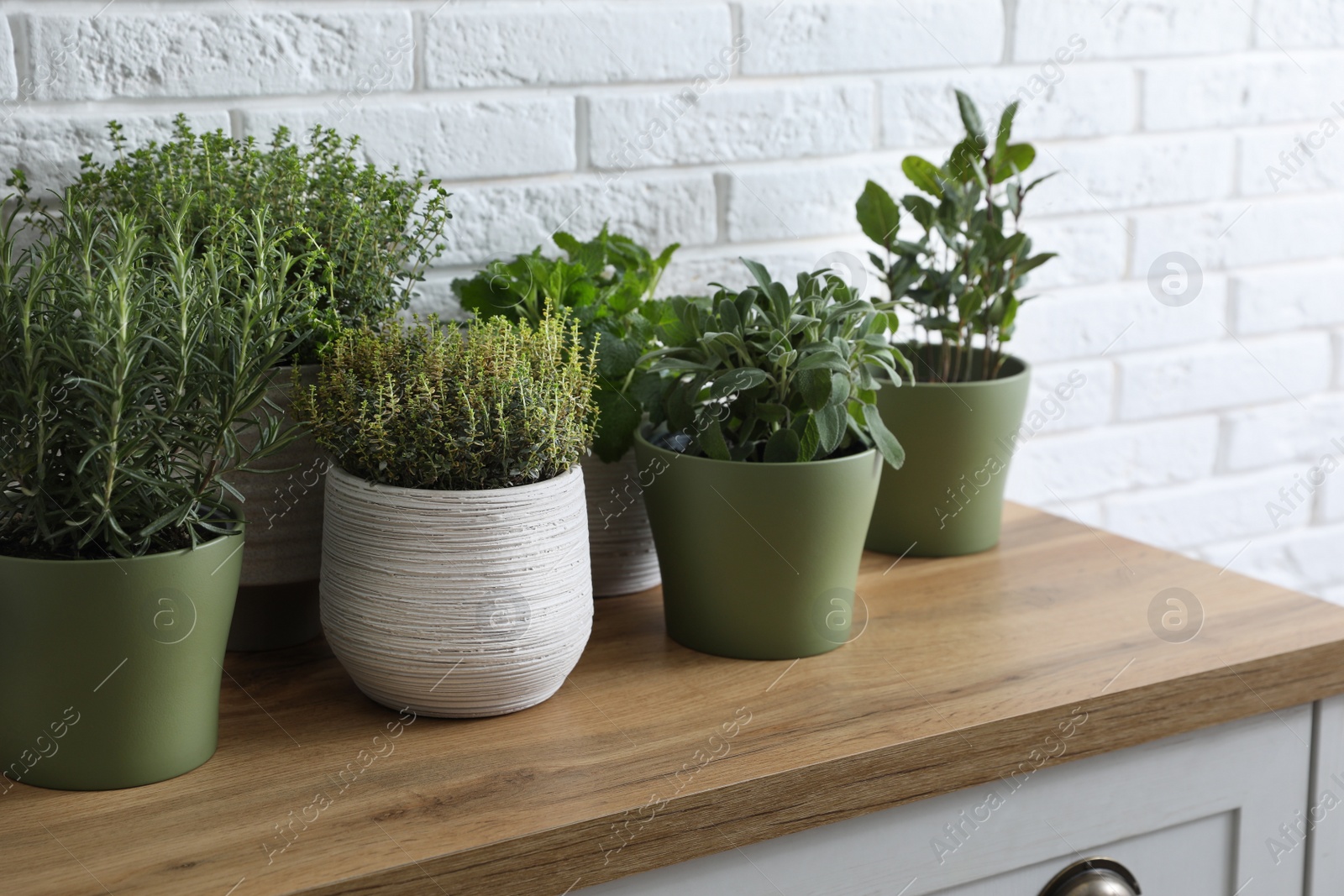 Photo of Different aromatic potted herbs on chest of drawers near white brick wall