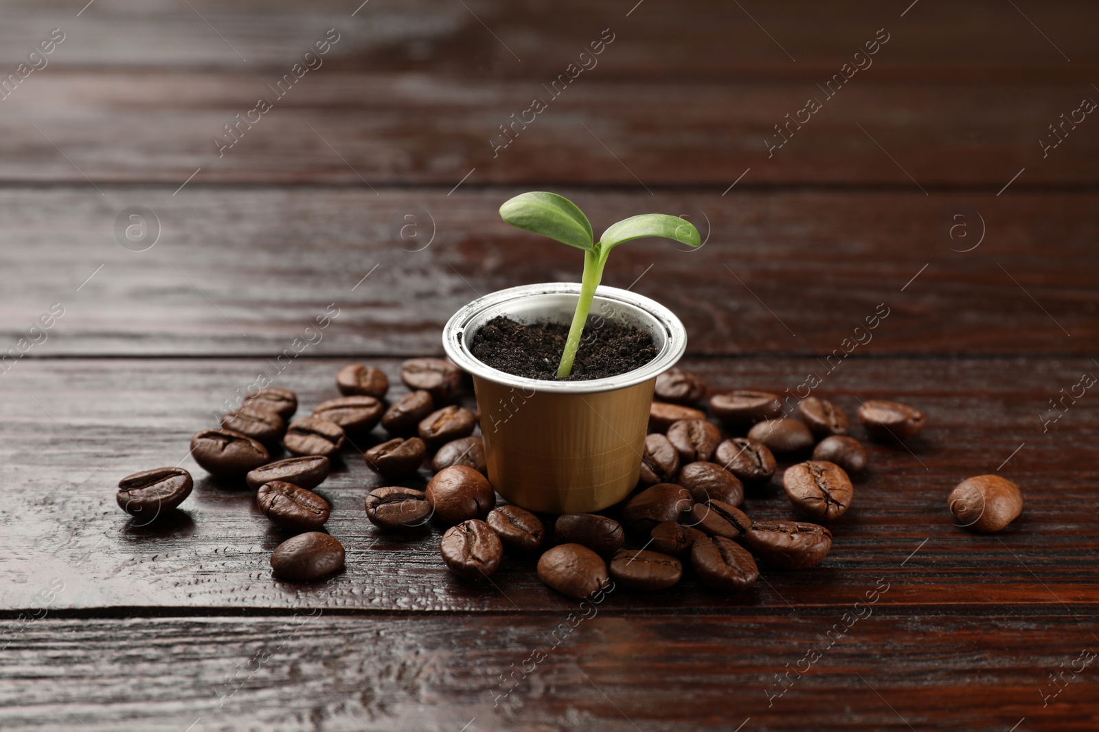 Photo of Coffee capsule with seedling and beans on wooden table, closeup