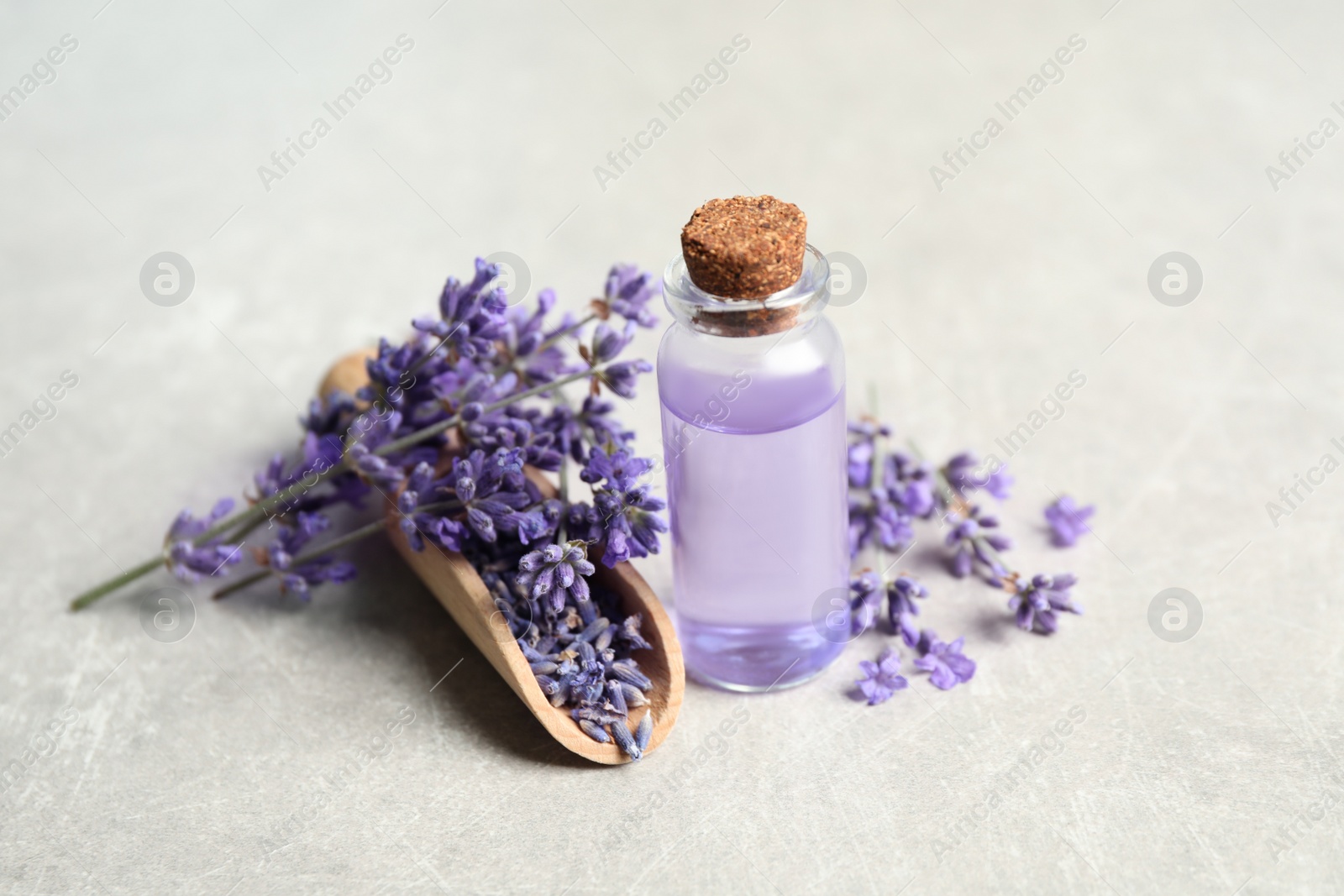 Photo of Bottle of essential oil and lavender flowers on light stone table