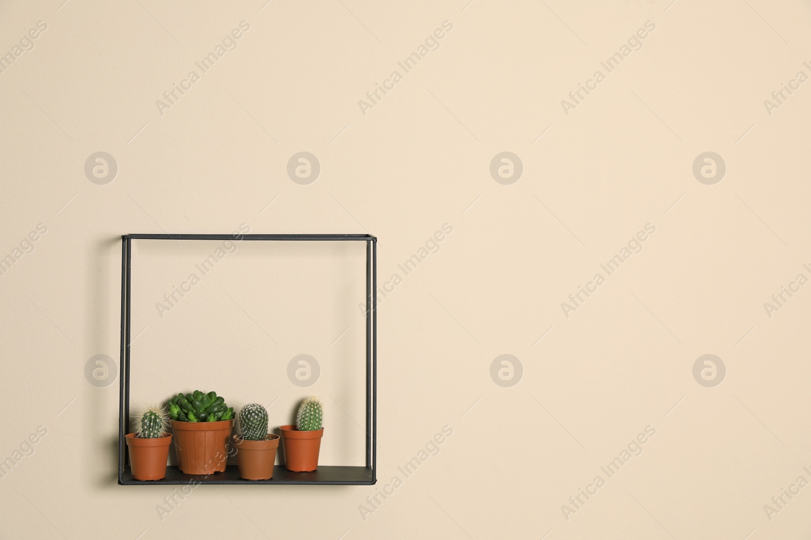 Photo of Shelf with potted plants on beige wall, space for text. Trendy home interior decor