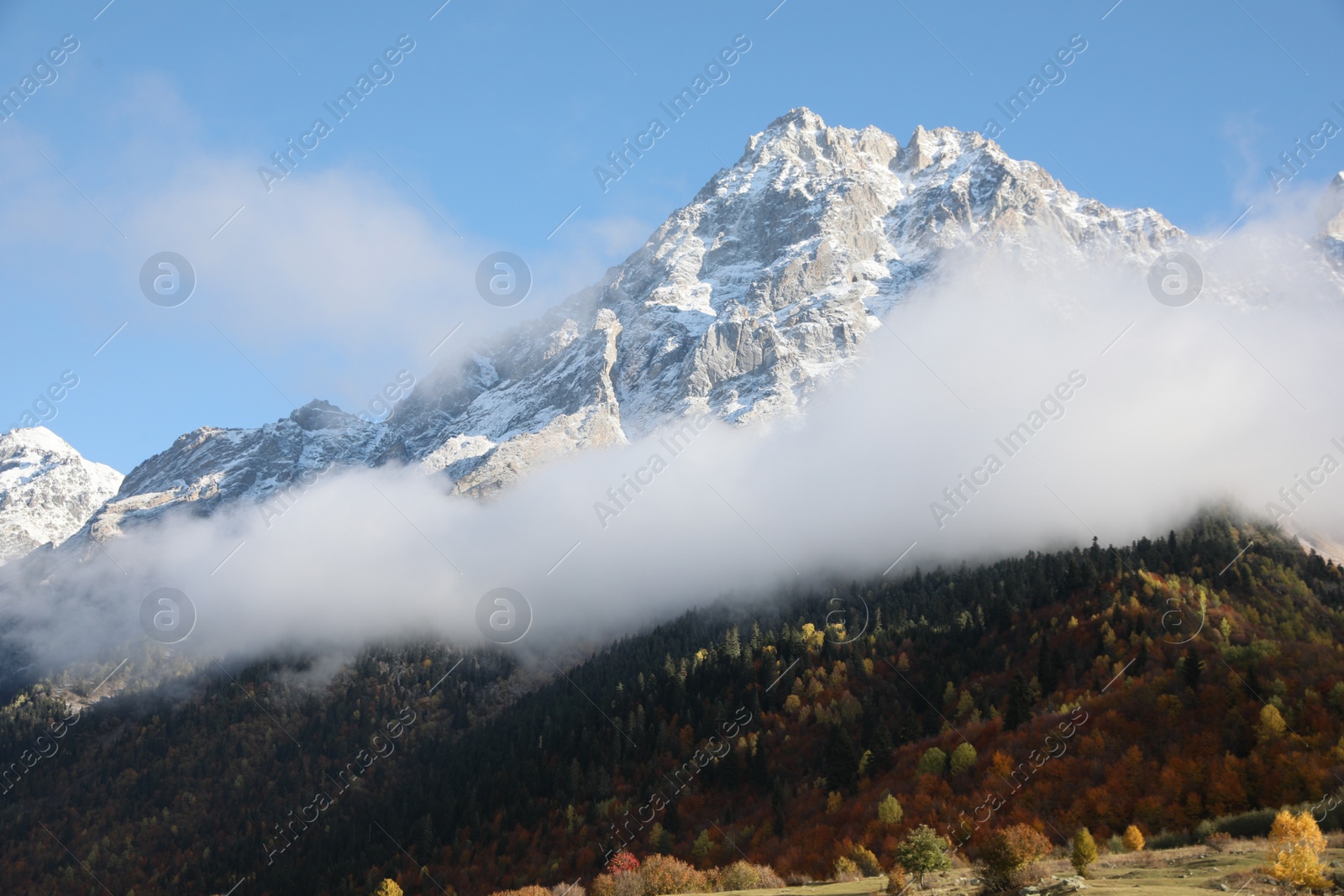 Photo of Picturesque landscape of high mountains covered with thick mist under blue sky on autumn day