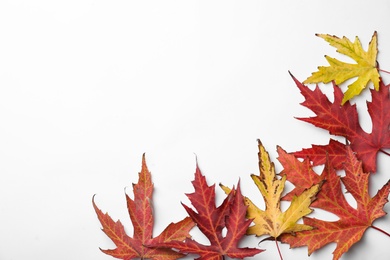Photo of Dry leaves of Japanese maple tree on white background, top view. Autumn season