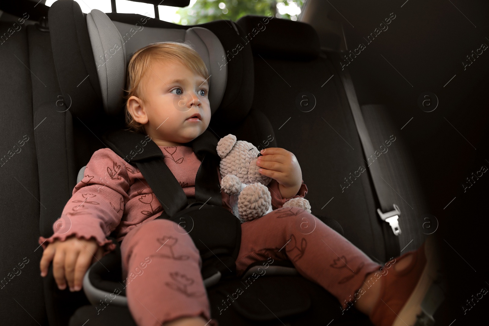 Photo of Cute little girl sitting in child safety seat inside car