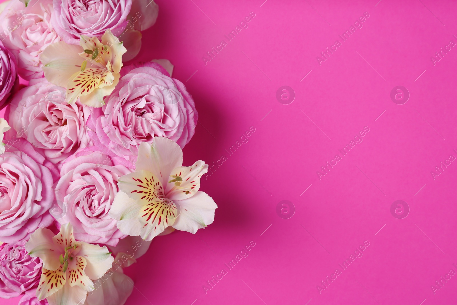 Photo of Fresh flowers on color background, top view with space for text