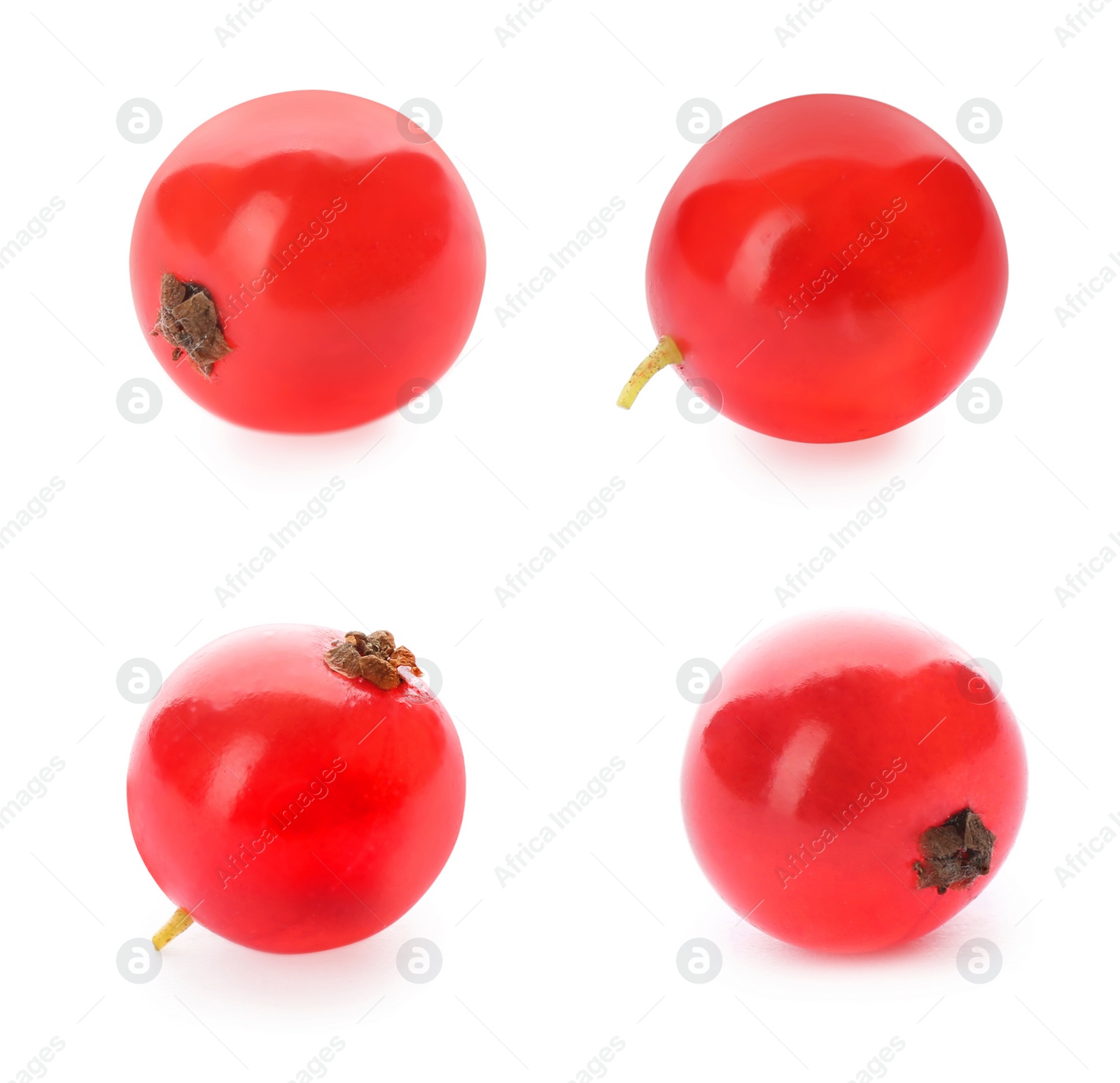 Image of Fresh red currants on white background, collection