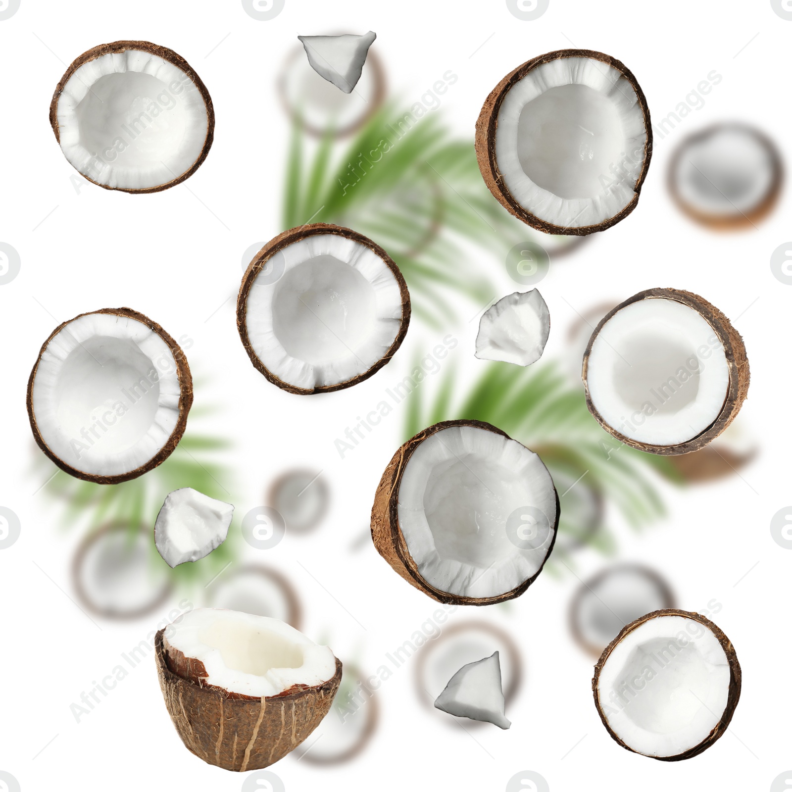 Image of Set with ripe coconuts on white background, top view