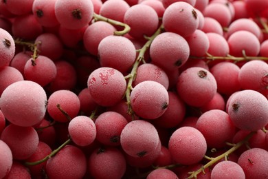 Photo of Tasty frozen red currants as background, closeup view