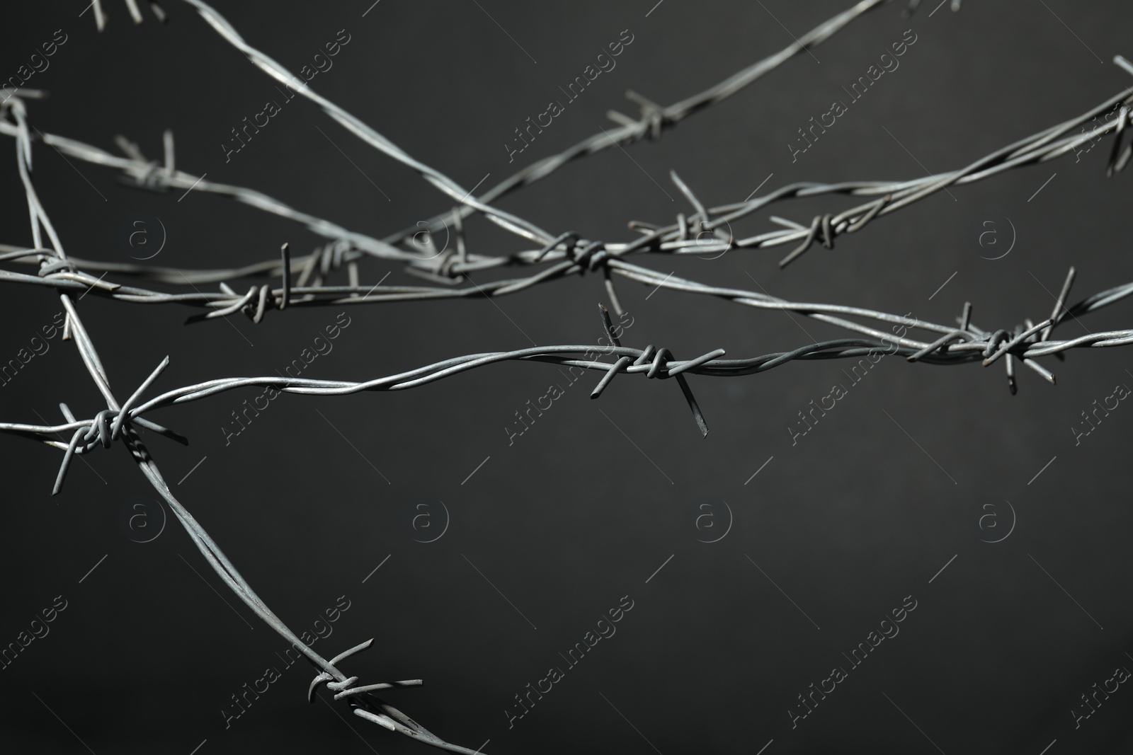 Photo of Metal barbed wire on dark grey background