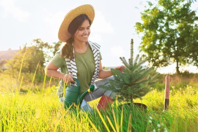 Photo of Woman with watering can near conifer tree in meadow on sunny day