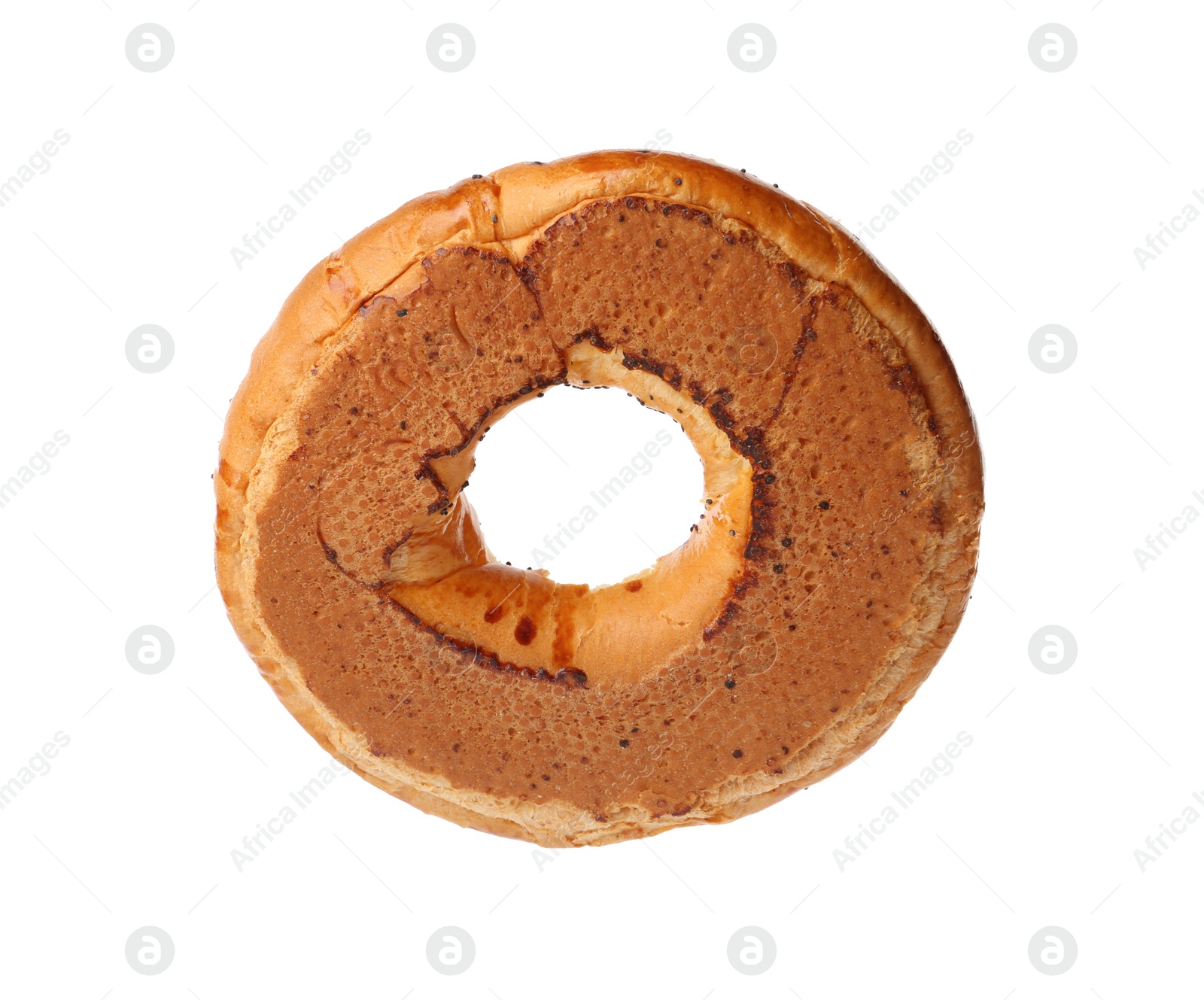 Photo of One delicious fresh bagel isolated on white