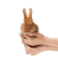 Photo of Woman holding adorable bunny on white background