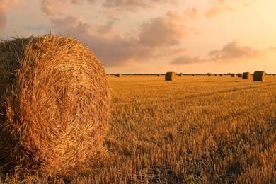 Hay bales in golden field under beautiful sky at sunset