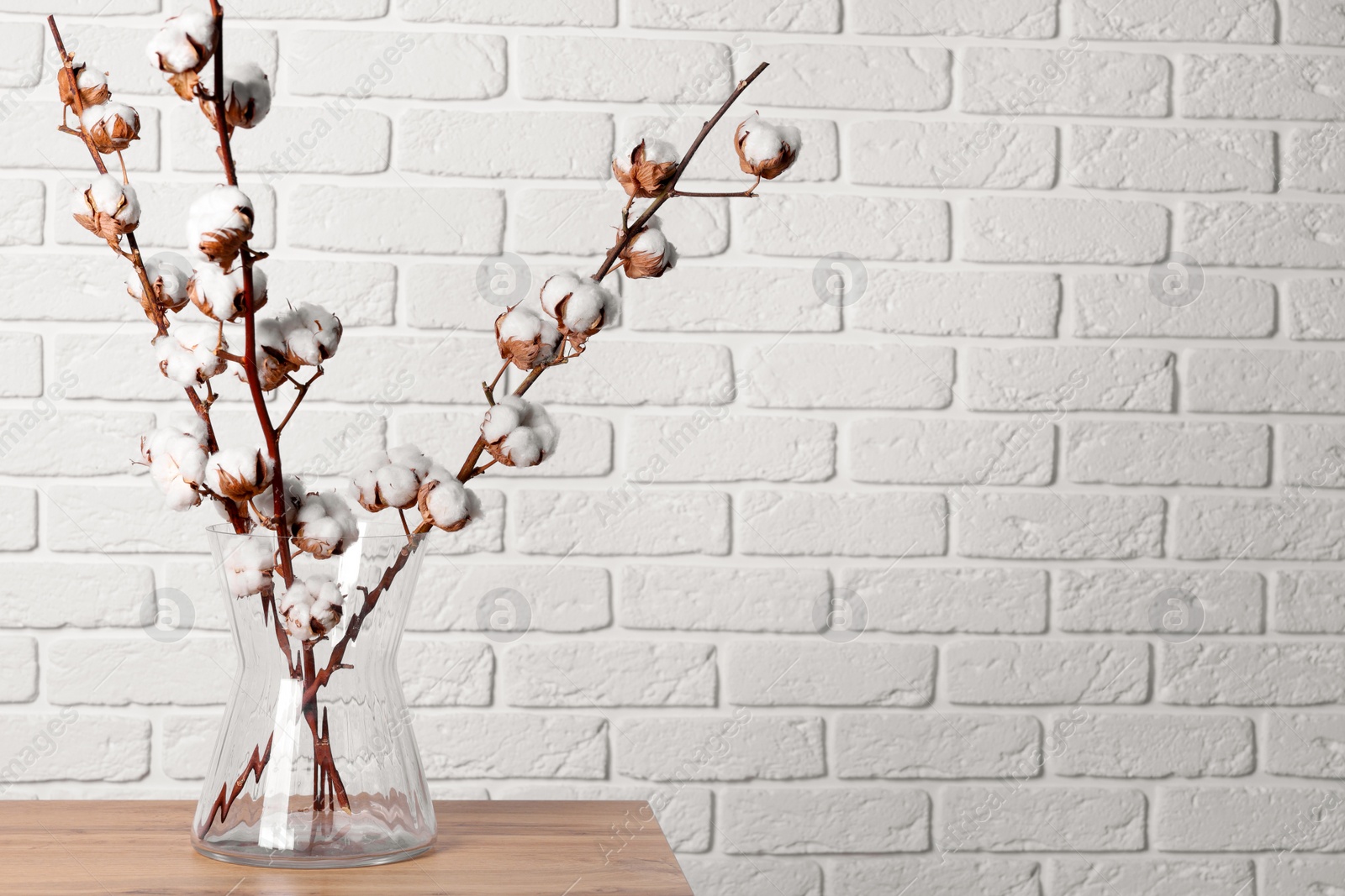 Photo of Cotton branches with fluffy flowers in vase on wooden table near white brick wall. Space for text