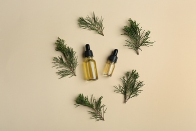 Two little bottles with essential oils and pine branches on color background, top view