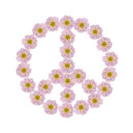 Hippie peace symbol made of pink primula flowers on white background