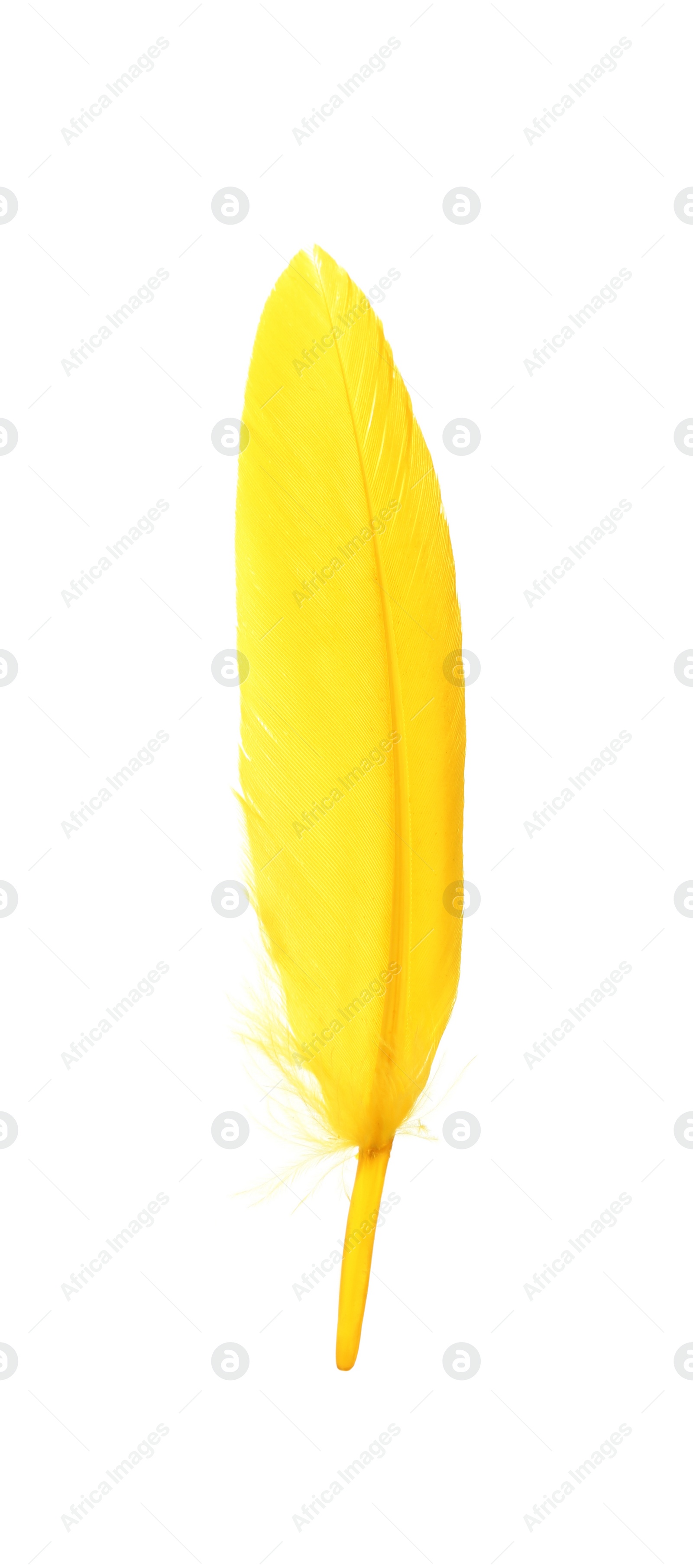 Photo of Fluffy beautiful yellow feather isolated on white