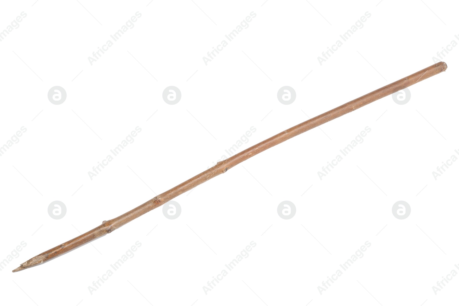 Photo of One old wooden stick isolated on white