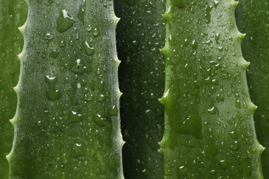 Photo of Fresh aloe vera leaves with water drops as background, top view