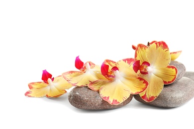 Spa stones and orchid flowers on white background