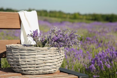 Wicker bag with beautiful lavender flowers on wooden bench in field