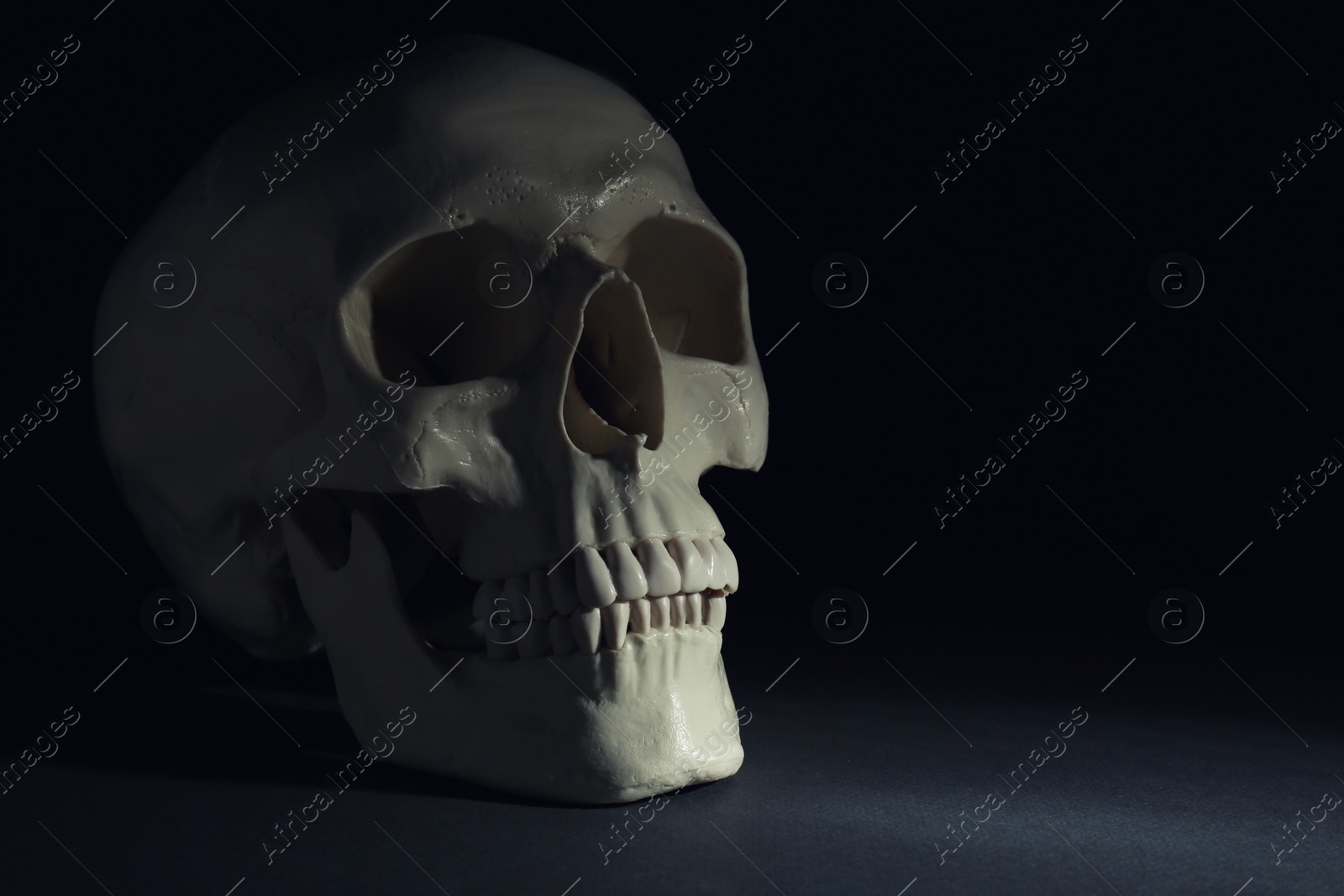 Photo of White human skull on black background, space for text