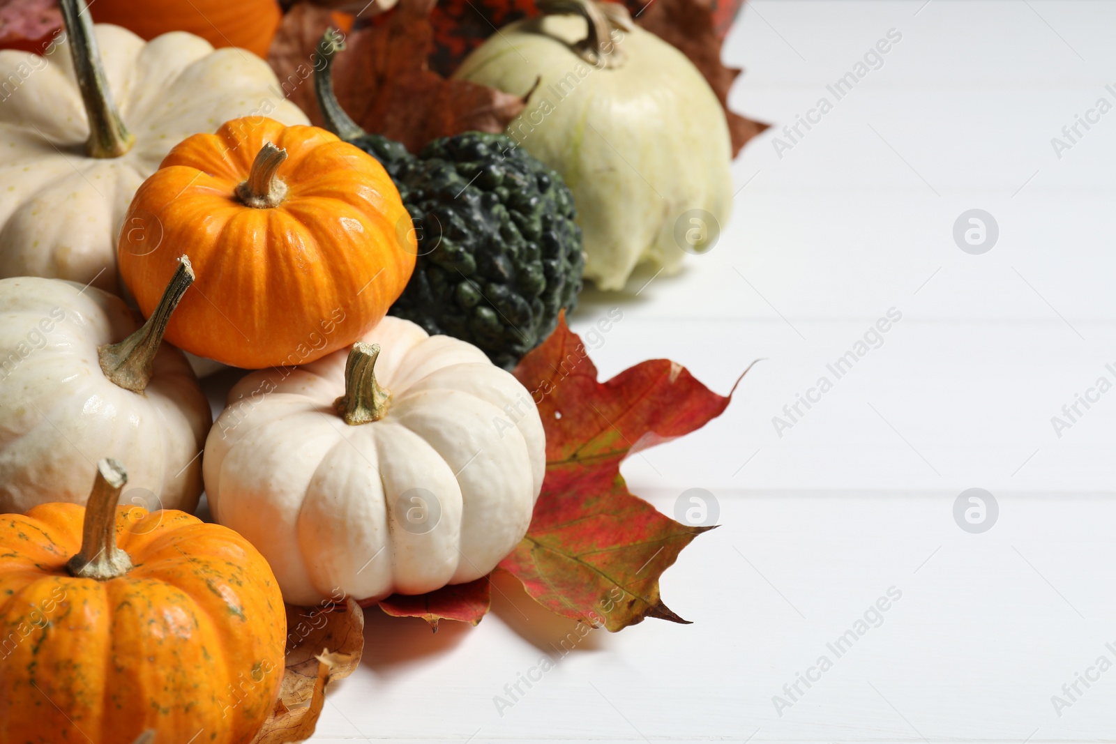 Photo of Thanksgiving day. Different pumpkins and dry leaves on white wooden table, space for text