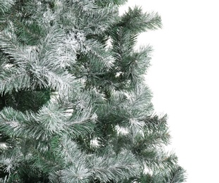 Photo of Beautiful Christmas tree on white background. Celebration time