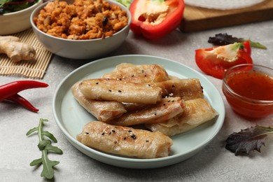 Photo of Tasty fried spring rolls and ingredients on grey table, closeup