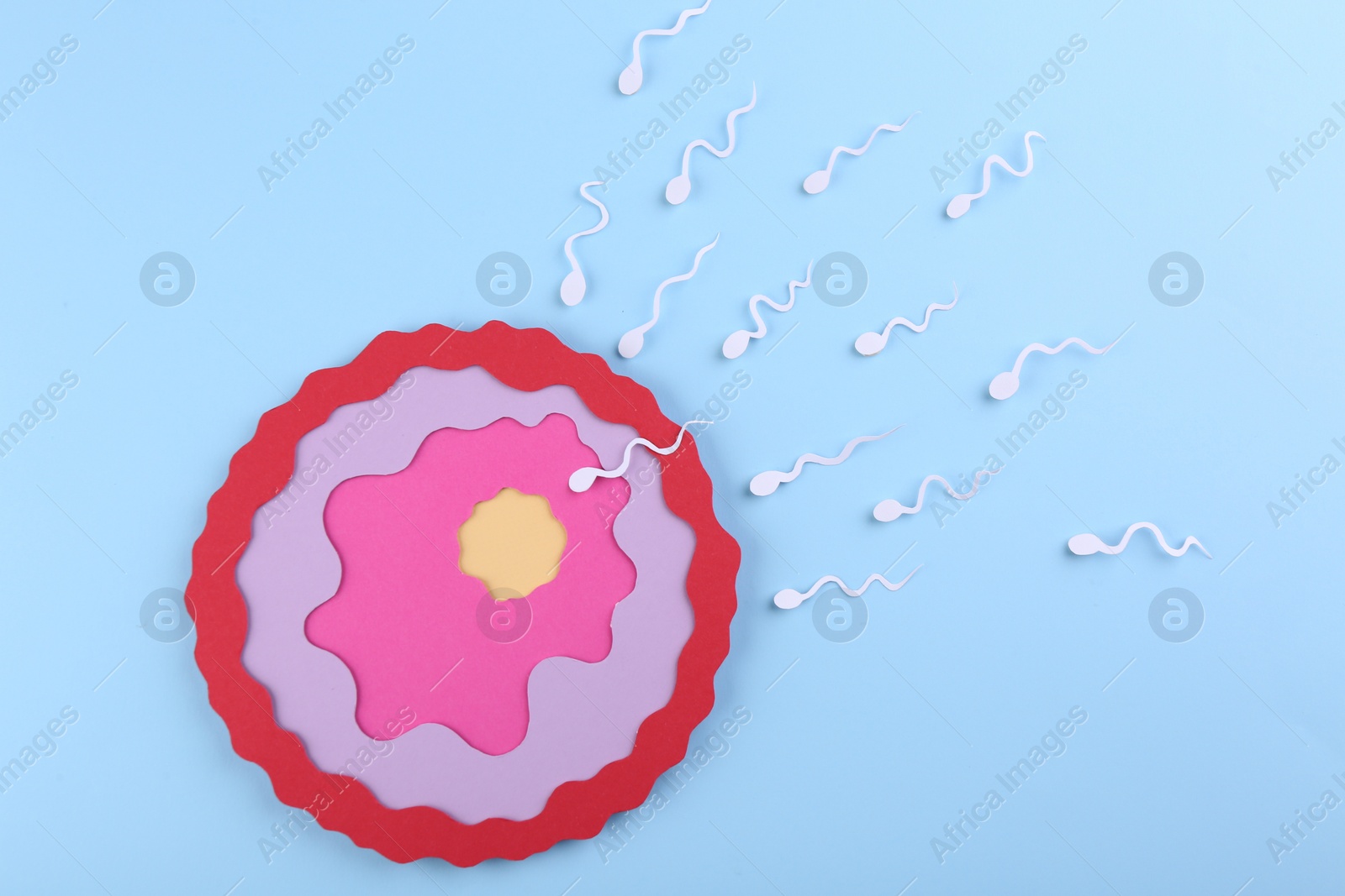 Photo of Fertilization concept. Sperm cells swimming towards egg cell on light blue background, top view