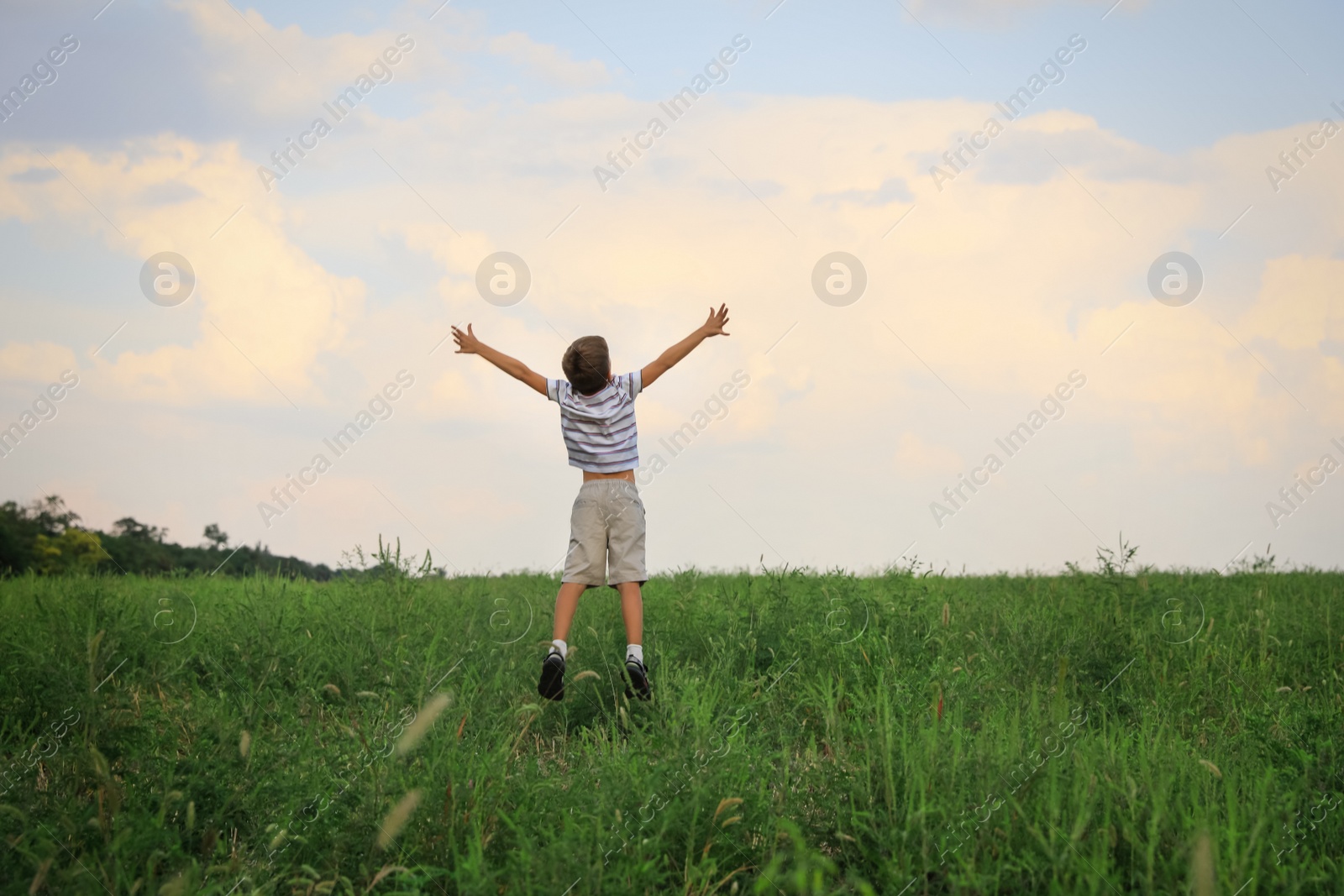 Photo of Little boy in field on sunny day, back view. Child spending time in nature