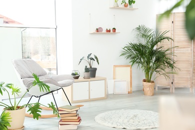 Photo of Trendy room interior with different home plants