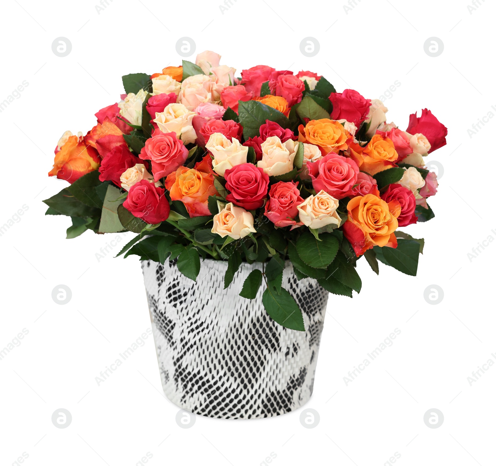 Photo of Bouquet of beautiful roses isolated on white