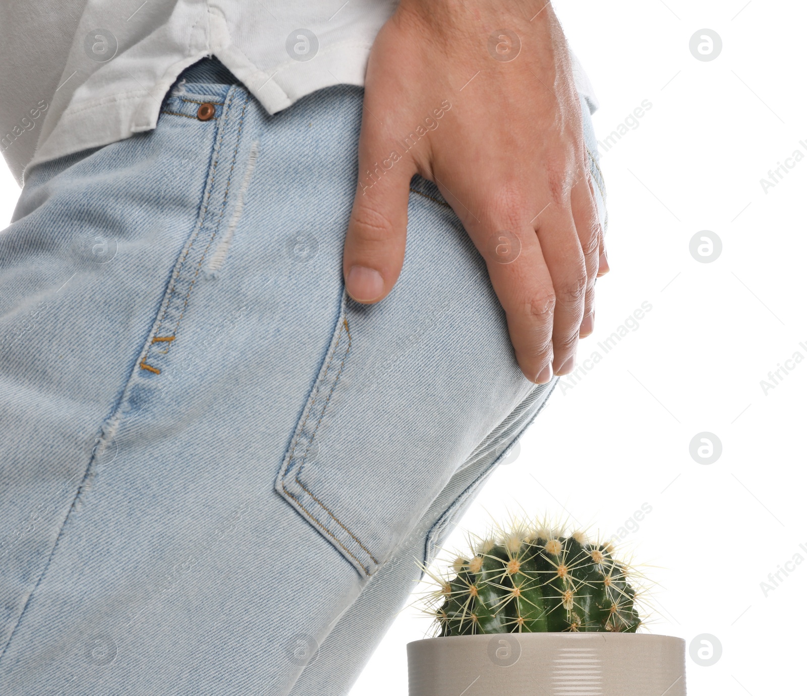 Photo of Man sitting down on cactus against white background, closeup. Hemorrhoid concept