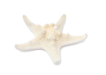 Photo of Beautiful sea star isolated on white. Beach object