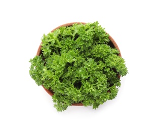 Bowl with fresh green parsley on white background, top view