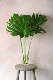 Photo of Vase with tropical monstera leaves on table near color wall