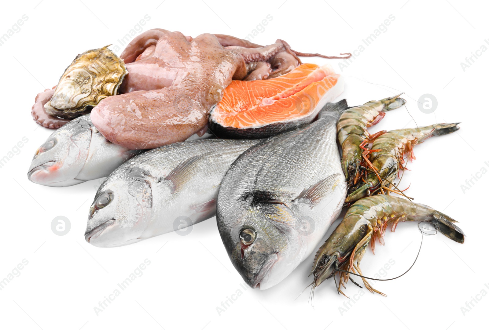 Photo of Fresh dorado fish, octopus, shrimps, oyster and salmon on white background