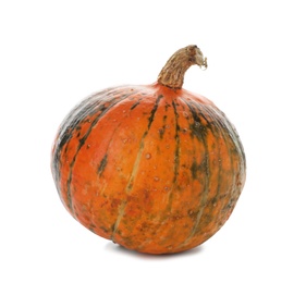 Photo of Fresh raw pumpkin isolated on white. Organic plant