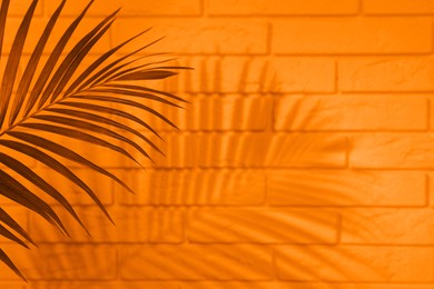 Image of Shadow cast by tropical palm on orange brick wall, space for text