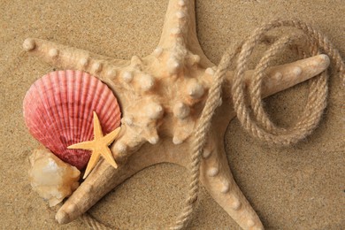 Photo of Beautiful starfishes, sea shells and rope on sand, closeup