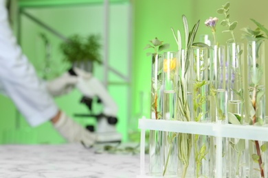 Photo of Test tubes with different plants in laboratory. Space for text