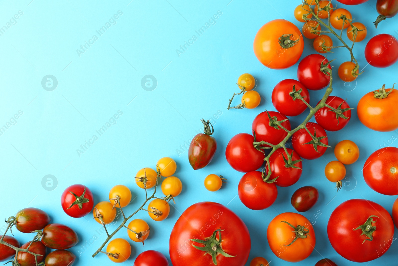 Photo of Flat lay composition with fresh ripe tomatoes on light blue background. Space for text