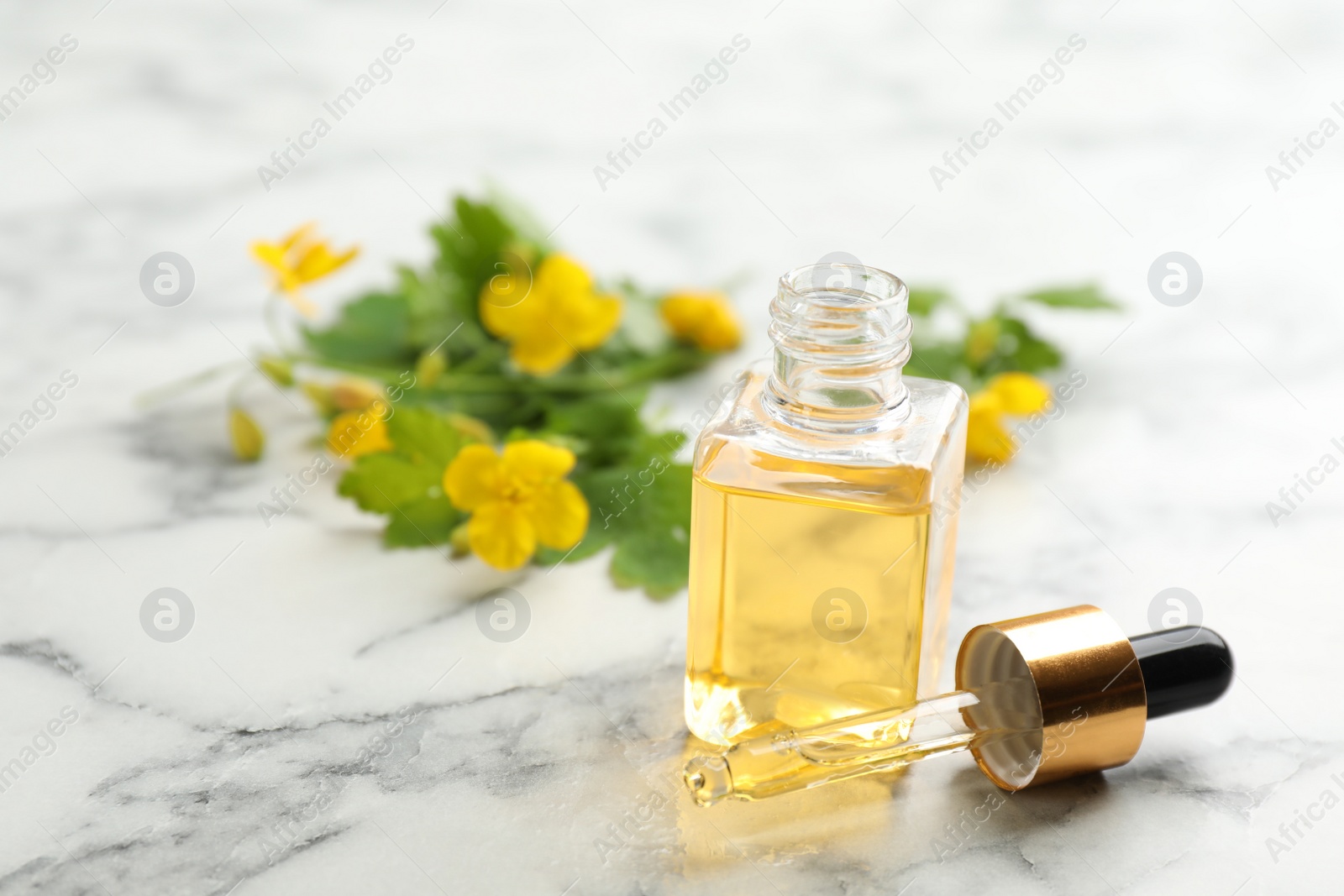 Photo of Bottle of natural celandine oil near flowers on white marble table. Space for text