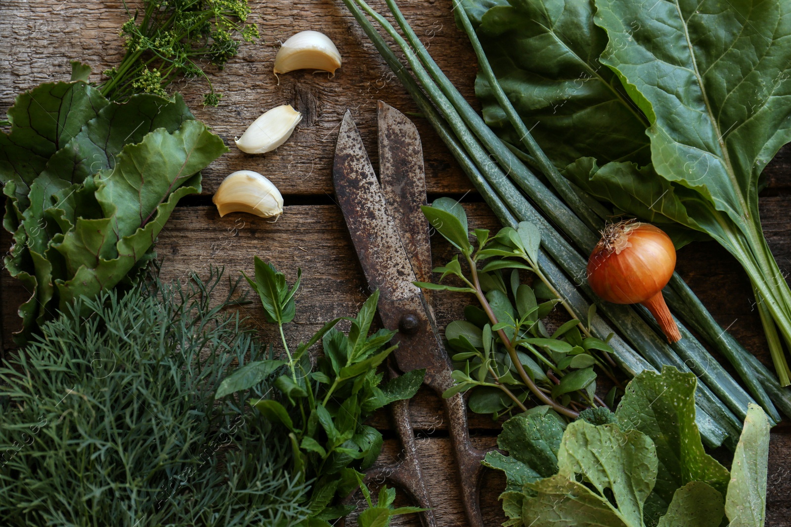 Photo of Flat lay composition with different herbs and rusty scissors on wooden table