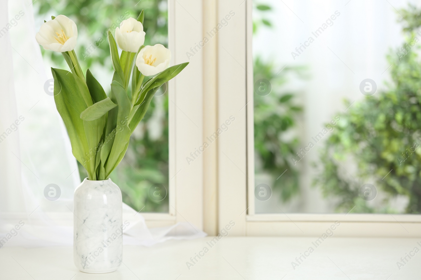 Photo of Beautiful fresh flowers on window sill indoors. Space for text