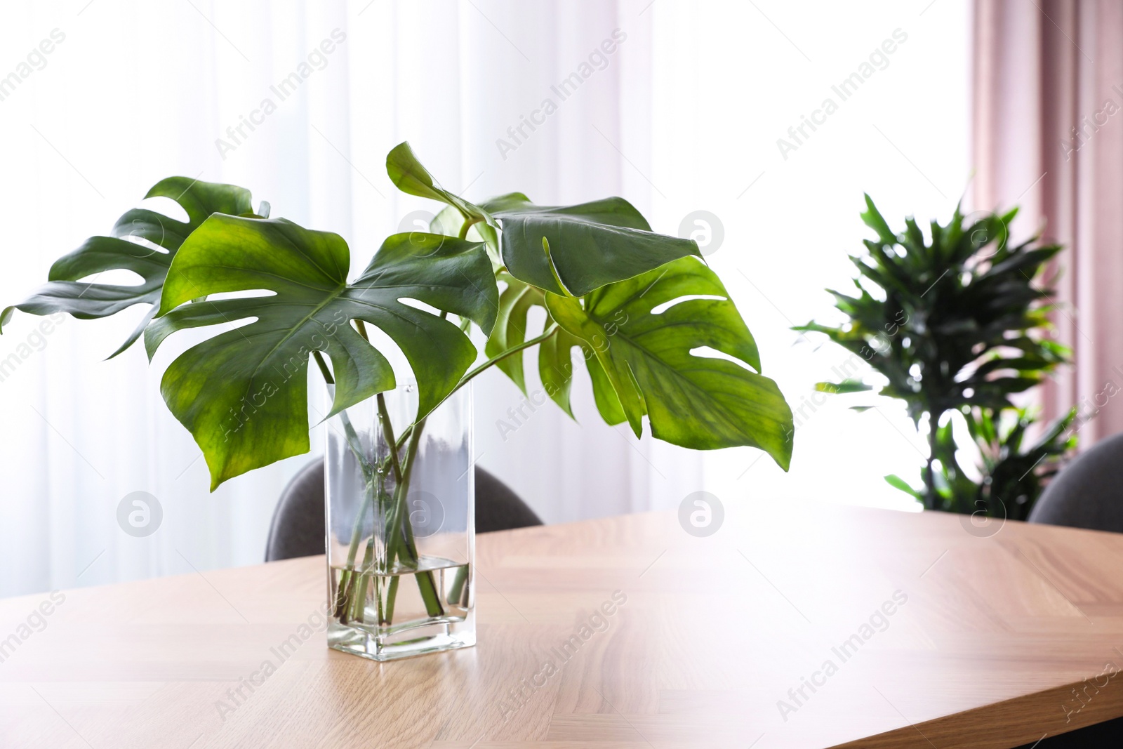 Photo of Fresh leaves of tropical plants on table in room. Home decoration