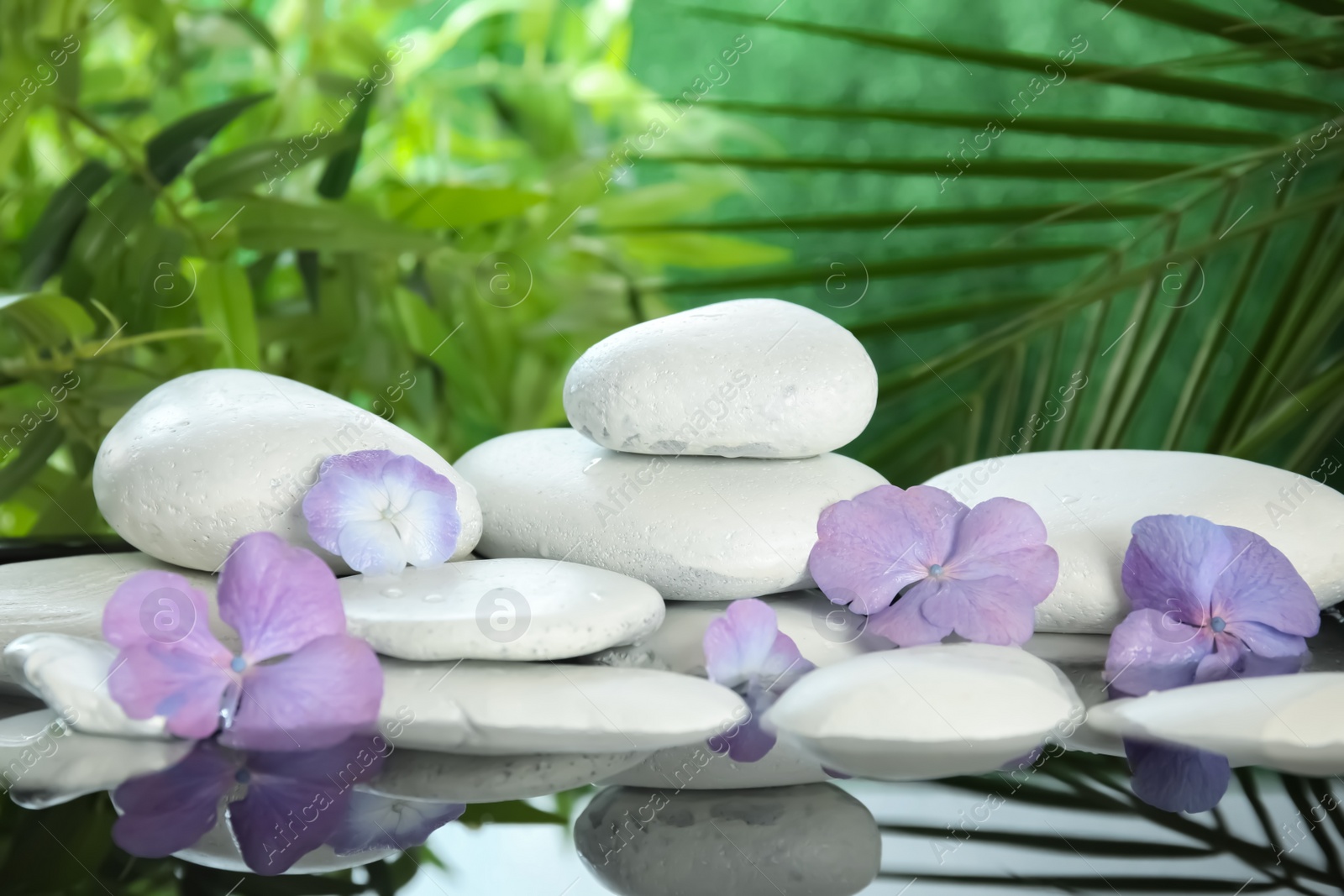 Photo of Zen stones and exotic flowers in water on blurred background