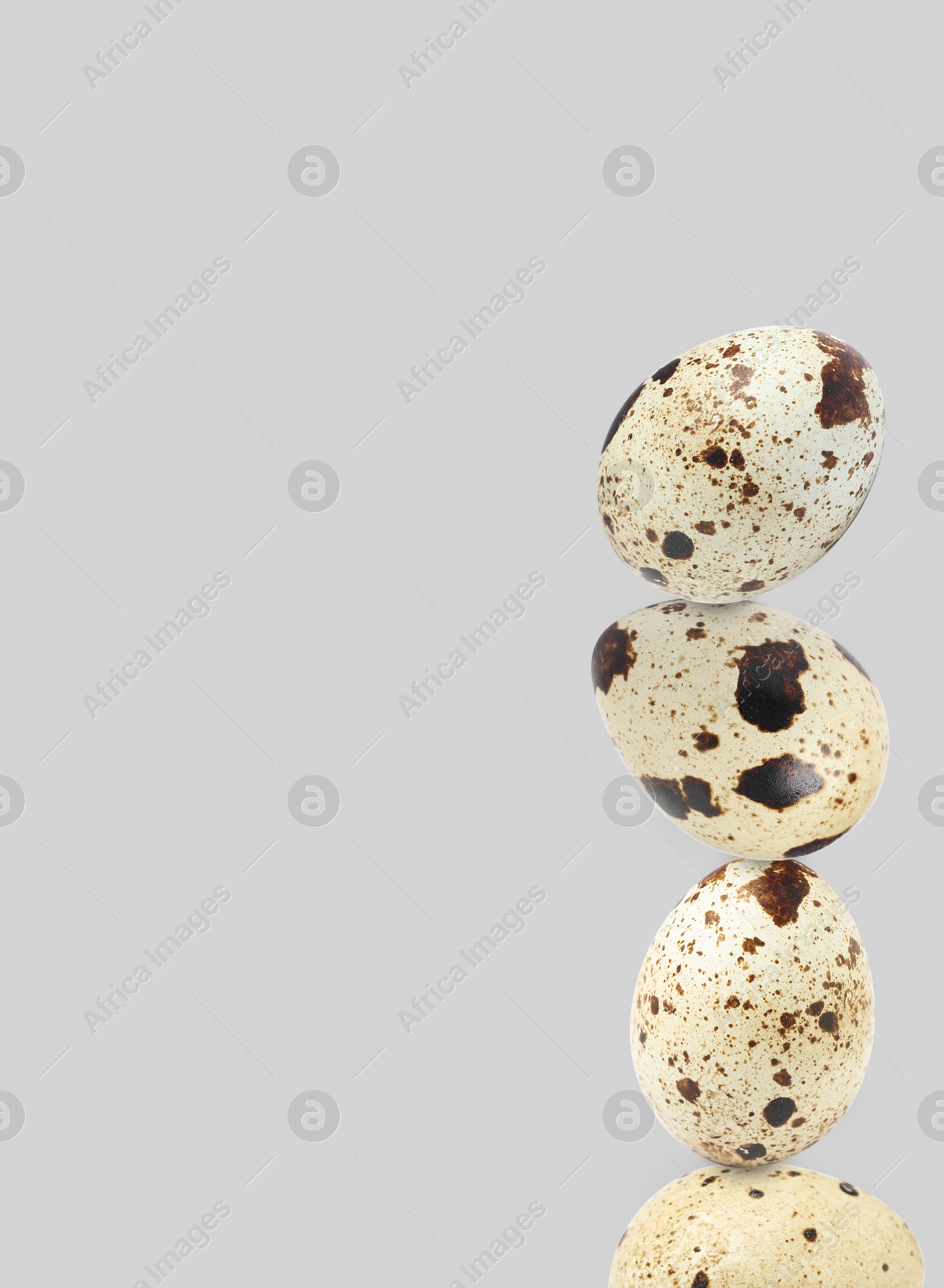 Image of Stacked speckled quail eggs on light grey background. Space for text