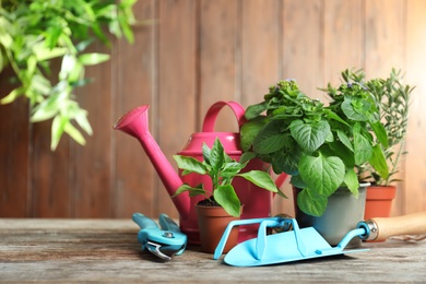 Plants and gardening tools on wooden table