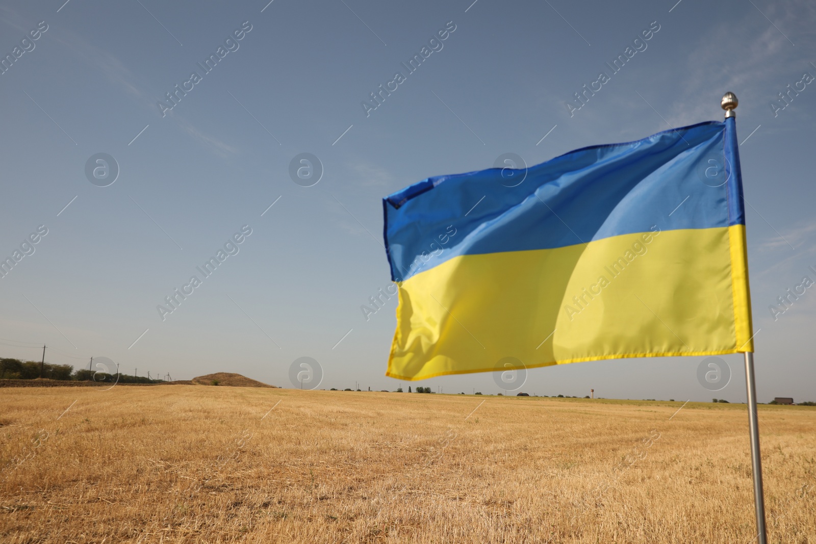 Photo of National flag of Ukraine in wheat field against blue sky. Space for text